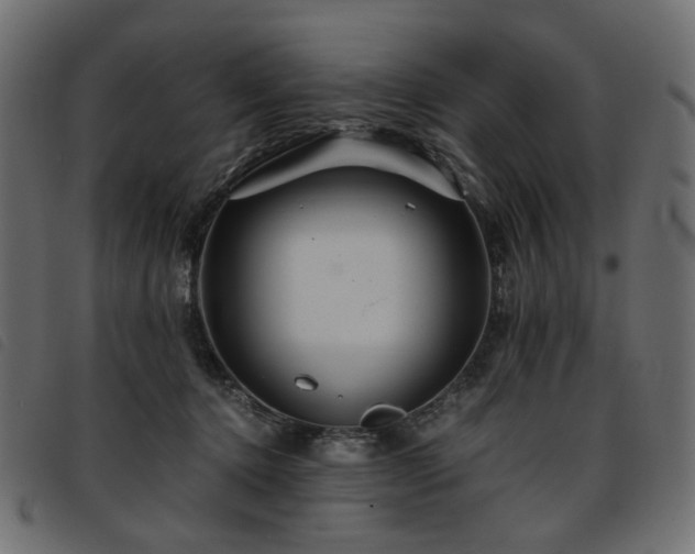 X0000093770368200710161246