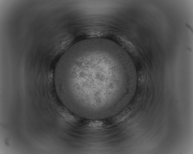 X0000093770369200710161246