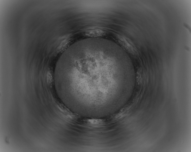X0000093770371200710161246