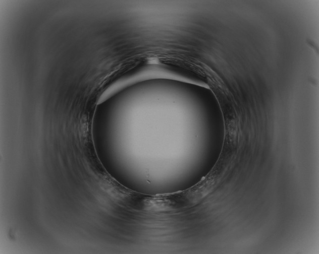 X0000093770372200710161246