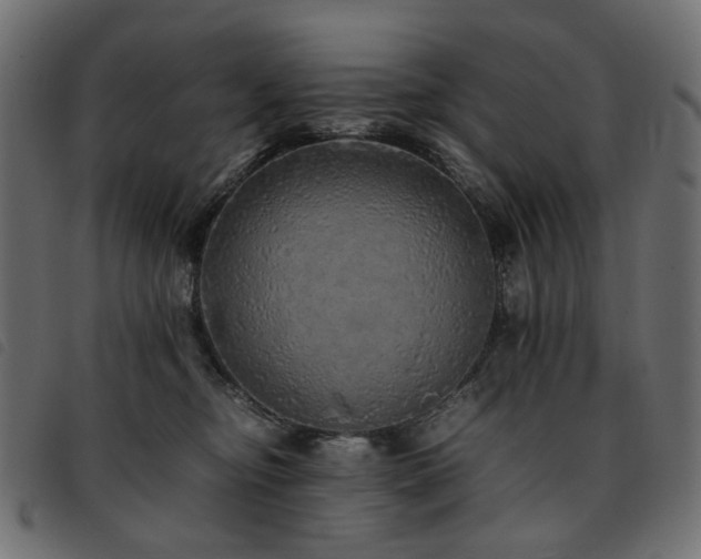 X0000093770374200710161246