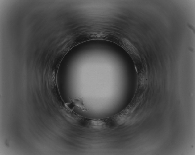 X0000093770376200710161246