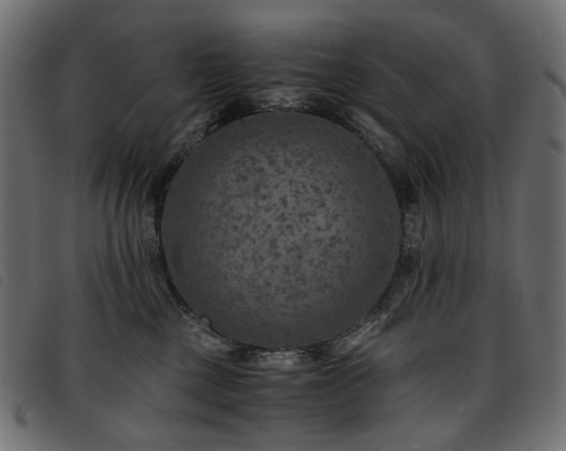 X0000093770377200710161246