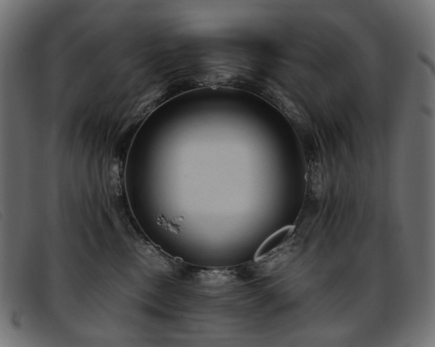 X0000093770378200710161247