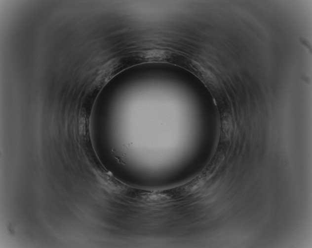 X0000093770379200710161247