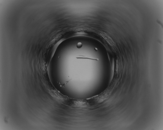 X0000093770380200710161247