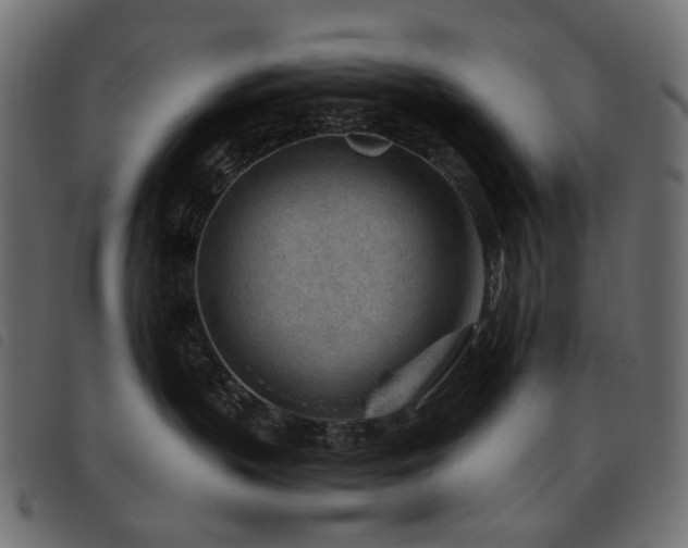 X0000093770383200710161247