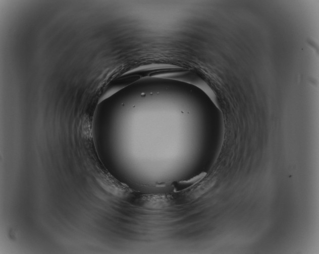 X0000093770384200710161247