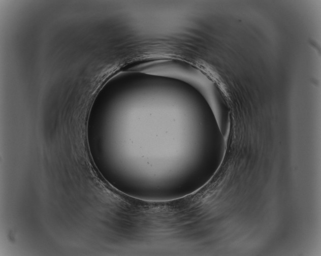 X0000093770385200710161246