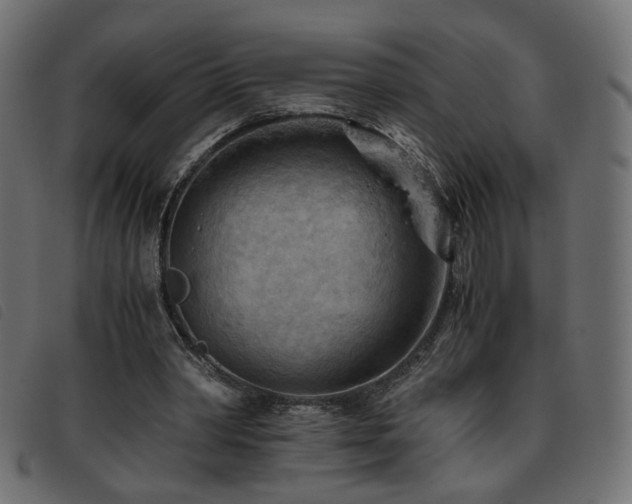X0000093770390200710161246