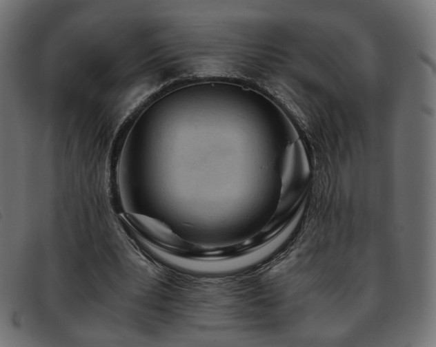 X0000093770391200710161246
