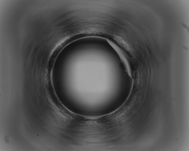 X0000093770392200710161246