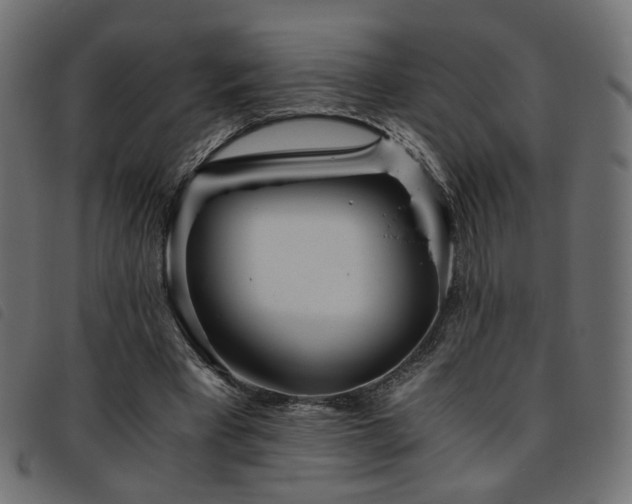 X0000093770393200710161246