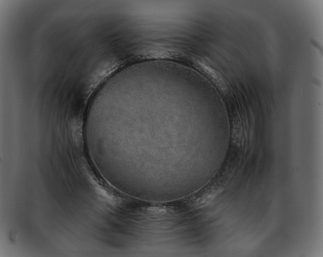 X0000093770394200710161246