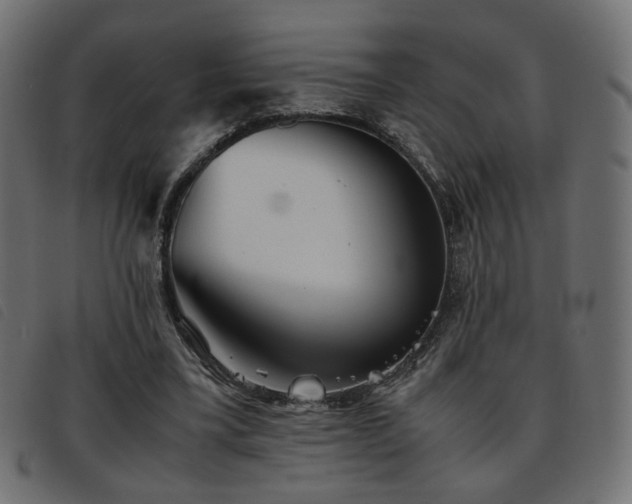 X0000093770395200710161246