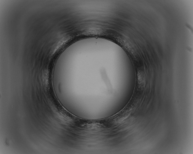 X0000093770396200710161246