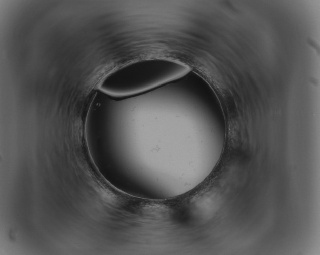 X0000093770397200710161246