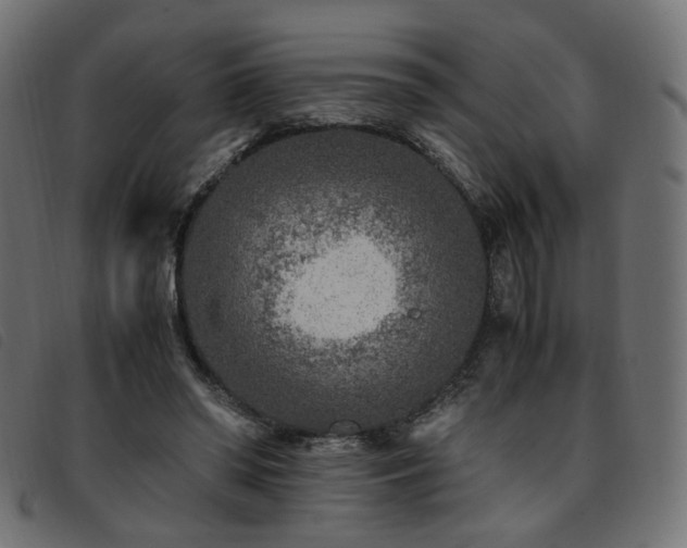 X0000093770398200710161246