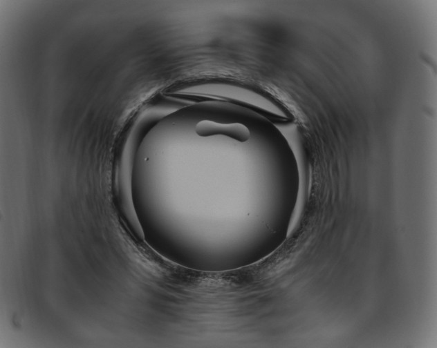 X0000093770399200710161246