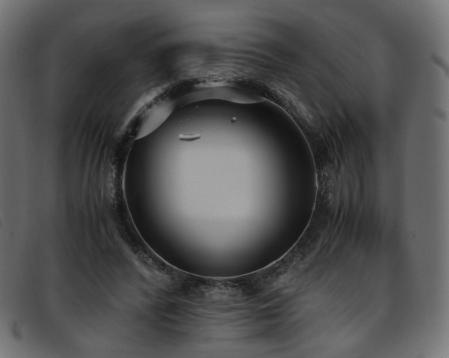 X0000093770400200710161246