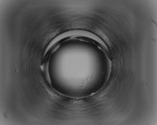 X0000093770401200710161246