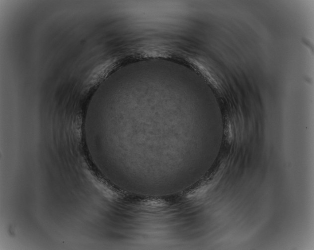 X0000093770402200710161246