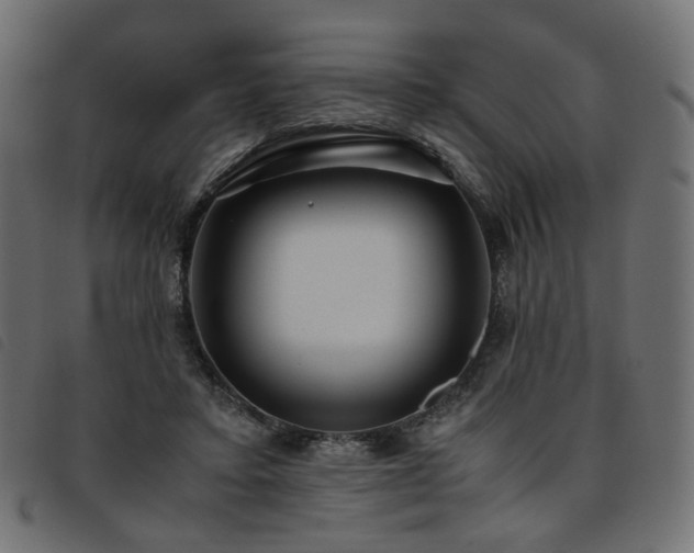 X0000093770403200710161246