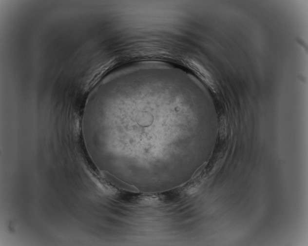X0000093770405200710161246