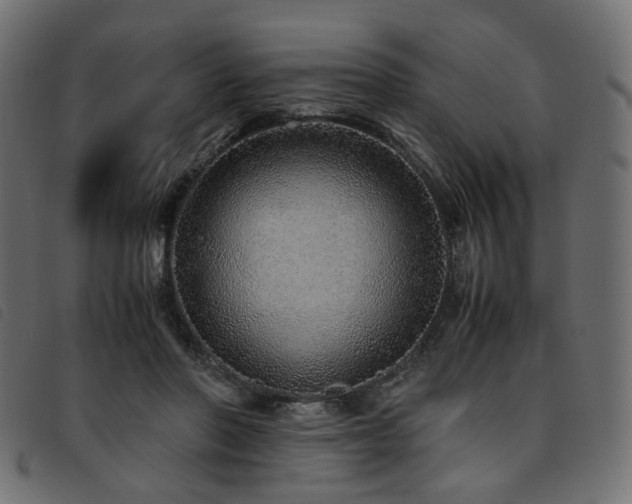 X0000093770406200710161246