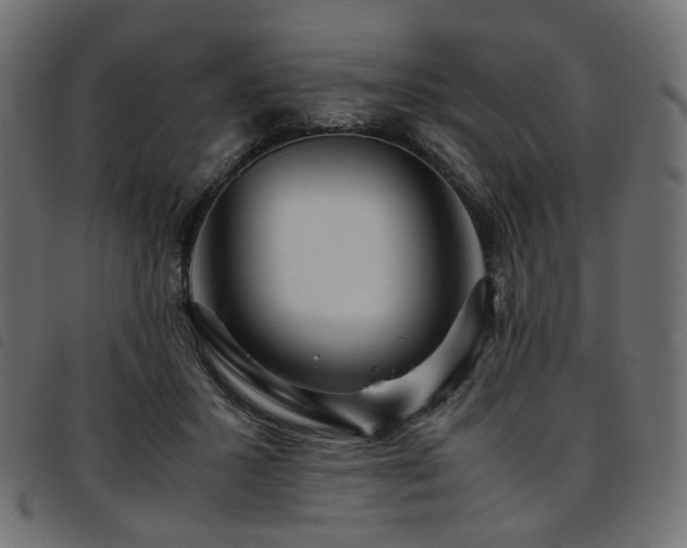 X0000093770407200710161246