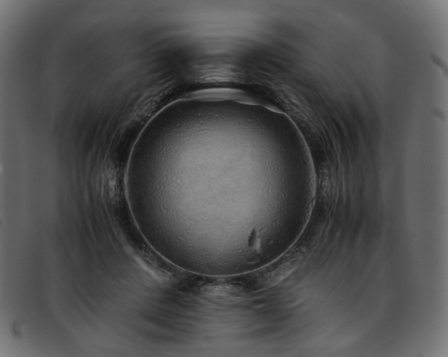 X0000093770408200710161246