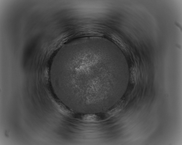 X0000093770410200710161246