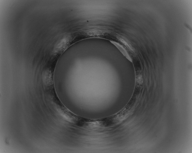 X0000093770411200710161246