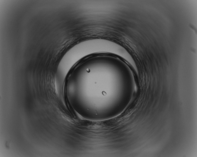 X0000093770412200710161246