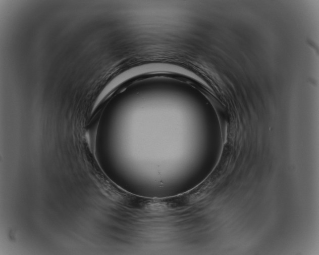 X0000093770413200710161246