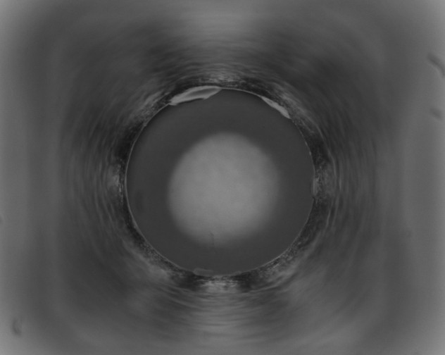 X0000093770415200710161246