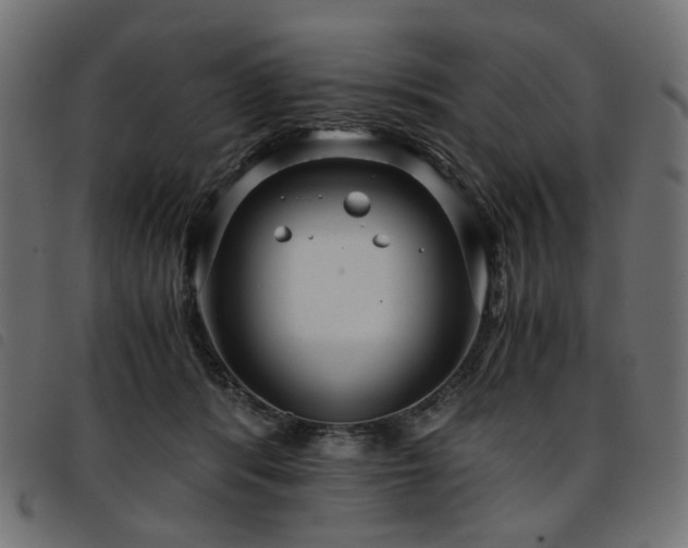 X0000093770416200710161246