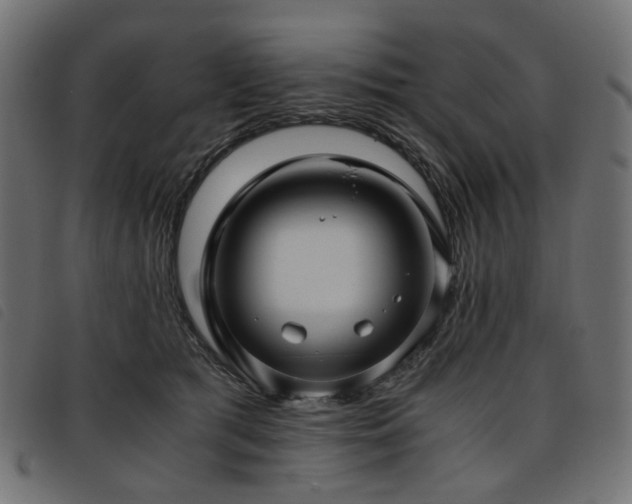 X0000093770417200710161246