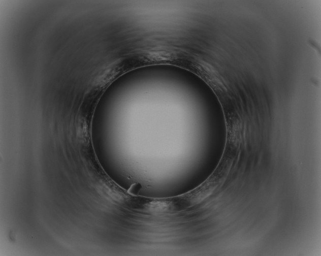 X0000093770418200710161246