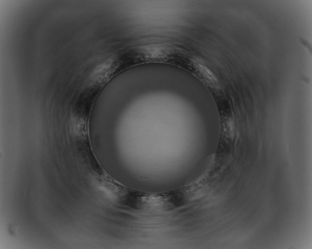 X0000093770419200710161246
