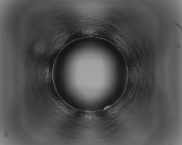 X0000093770420200710161246