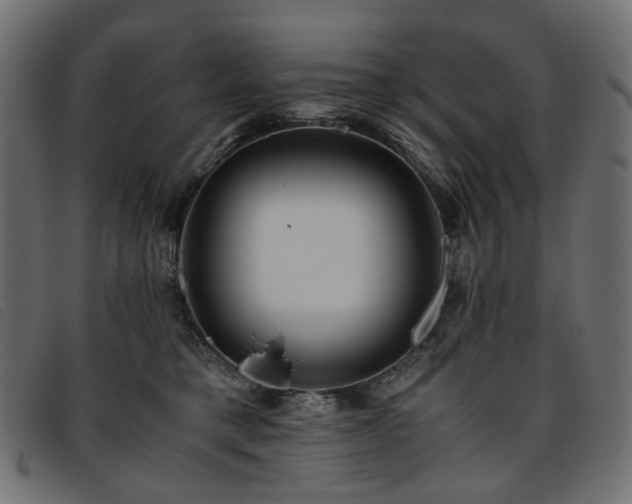X0000093770421200710161246