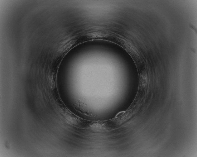 X0000093770422200710161246