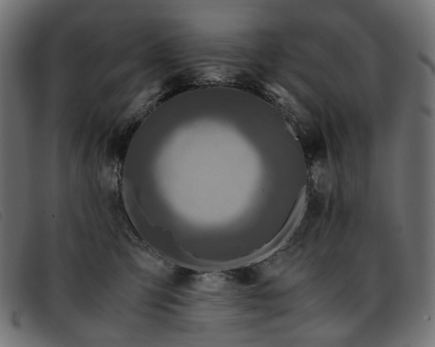X0000093770423200710161246