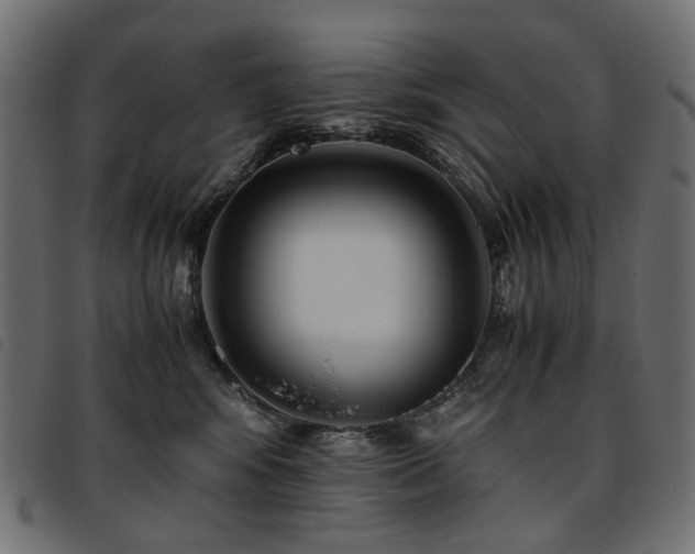 X0000093770424200710161246