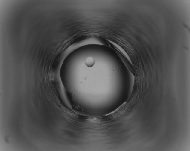 X0000093770425200710161246