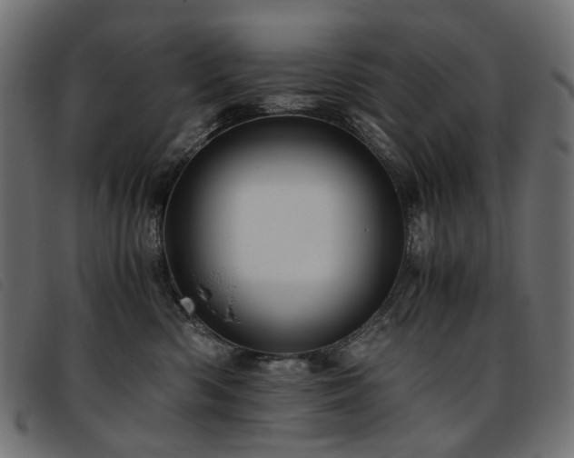 X0000093770426200710161246