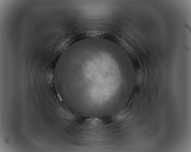 X0000093770427200710161246