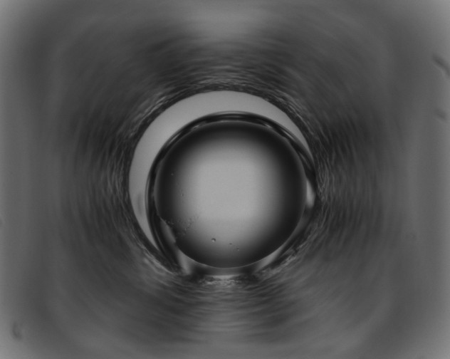 X0000093770428200710161246