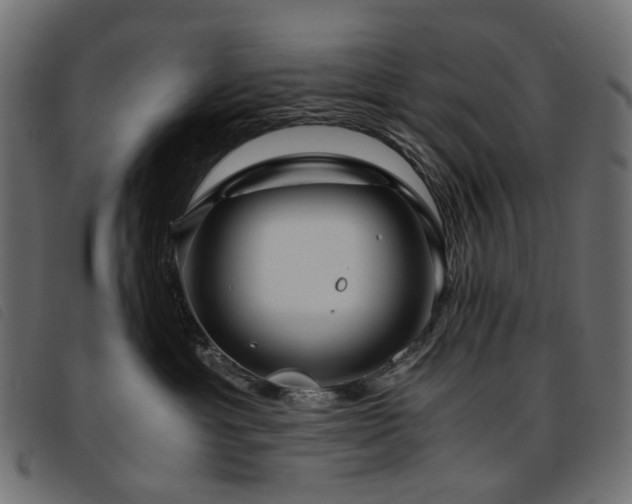 X0000093770429200710161245